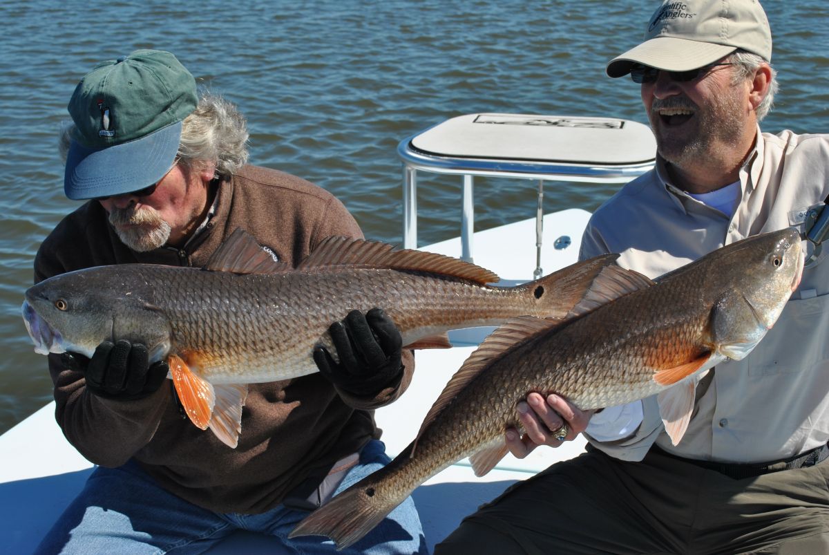Guiding Refish anglers in Charleston