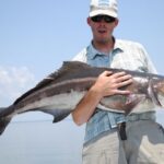 app_webroot_userfiles_281_module_photo_gallery_images_large_22333